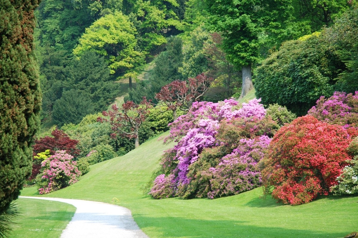 Remise en état de jardin à Cannes - BCD Jardin paysagiste à Cannes, Mougins, Le Cannet et 06