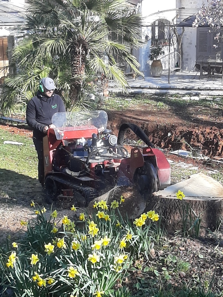 Nos dernières réalisations de jardin dans les Alpes-Maritimes - BCD Jardin paysagiste à Cannes, Mougins, Le Cannet et 06