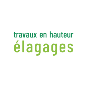Engazonnement, gazon en plaque et gazon synthétique - BCD Jardin paysagiste à Cannes, Mougins, Le Cannet et 06