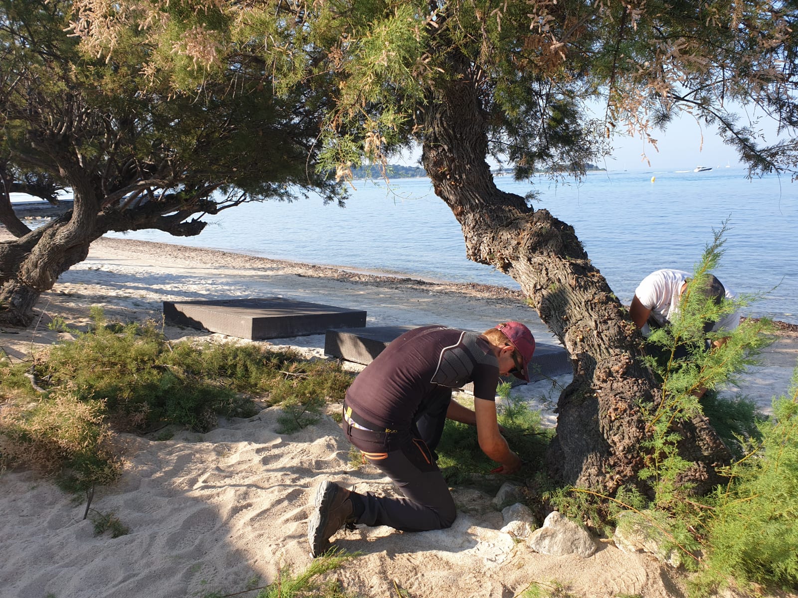 Nos dernières réalisations de jardin dans les Alpes-Maritimes - BCD Jardin paysagiste à Cannes, Mougins, Le Cannet et 06