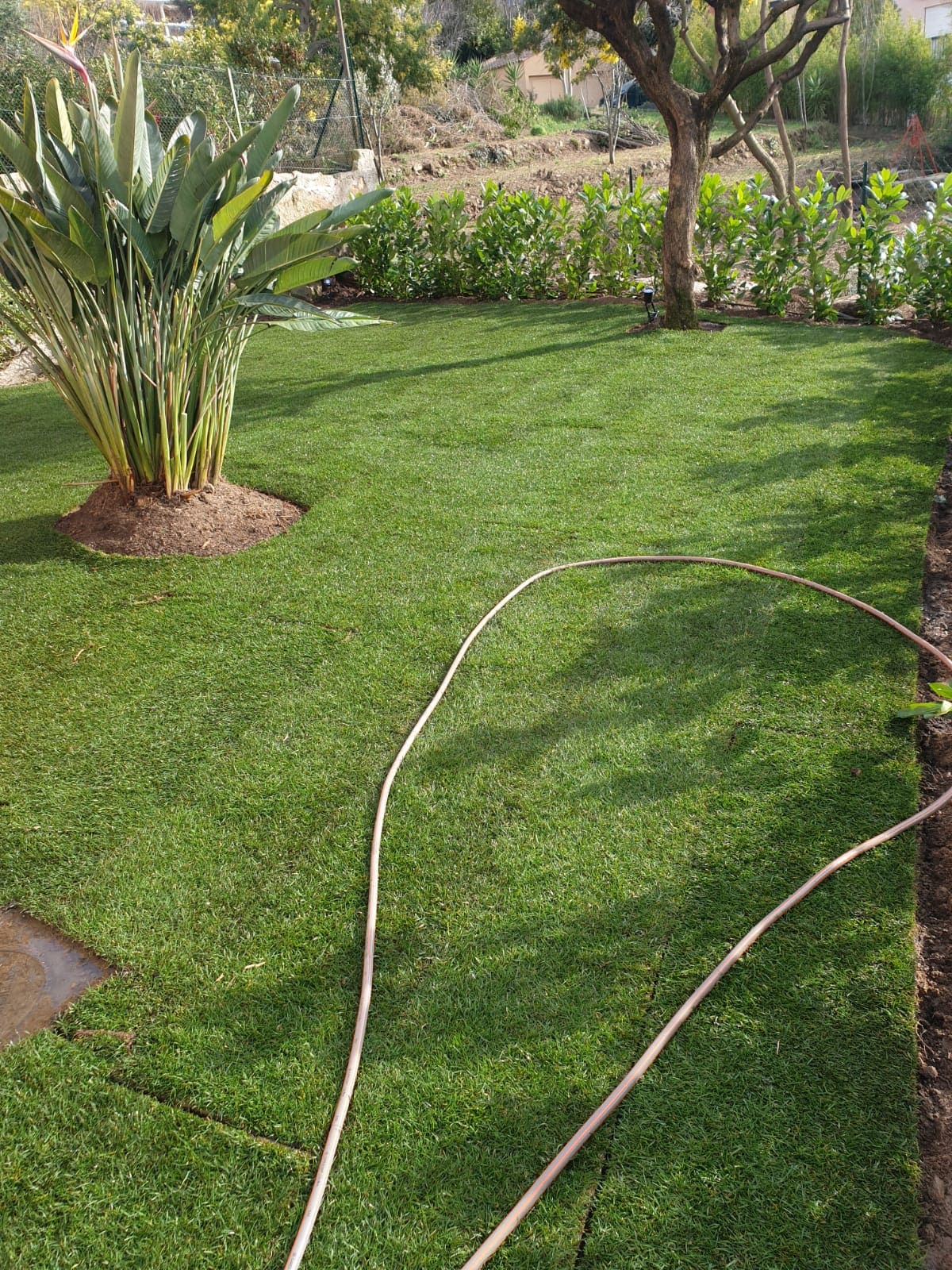 Nos dernières réalisations de jardin dans les Alpes-Maritimes - BCD Jardin paysagiste à Cannes, Mougins, Le Cannet et 06