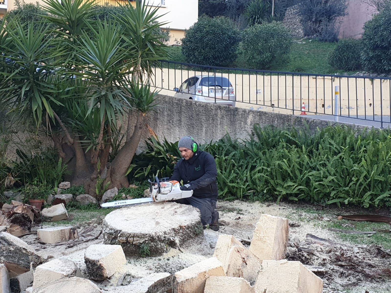 Nos dernières réalisations de jardin dans les Alpes-Maritimes - BCD Jardin paysagiste à Cannes, Mougins, Le Cannet et 06