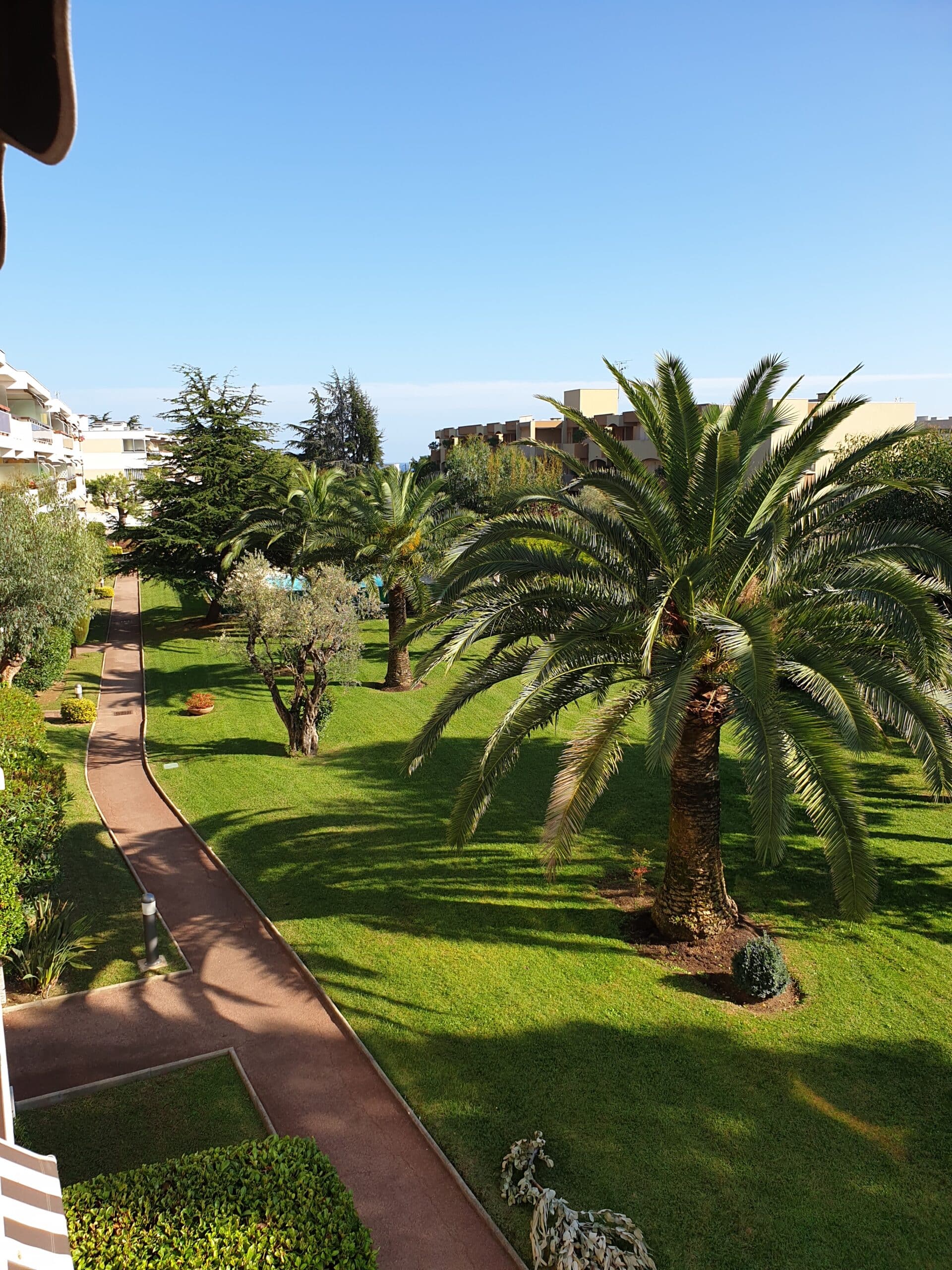 BCD Jardin, jardinier paysagiste à Cannes - BCD Jardin paysagiste à Cannes, Mougins, Le Cannet et 06