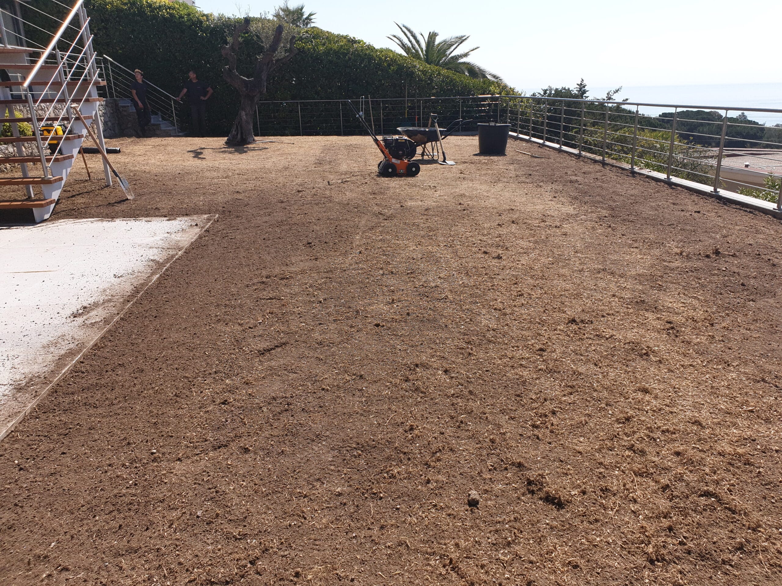 Engazonnement, gazon en plaque et gazon synthétique - BCD Jardin paysagiste à Cannes, Mougins, Le Cannet et 06