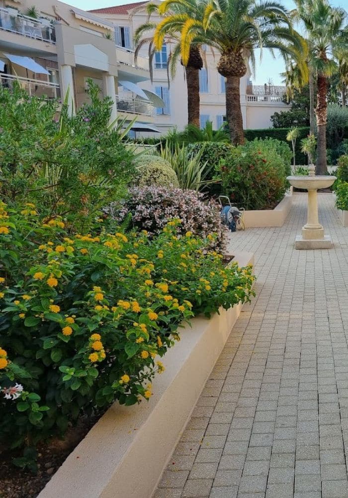 Aménagement & entretien de jardins - BCD Jardin paysagiste à Cannes, Mougins, Le Cannet et 06