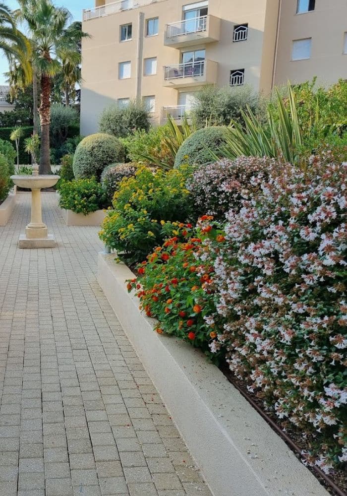 Aménagement & entretien de jardins - BCD Jardin paysagiste à Cannes, Mougins, Le Cannet et 06