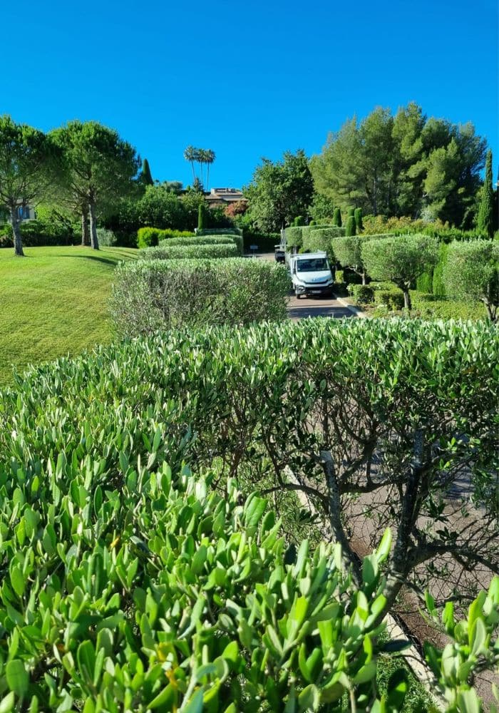 Aménagement & entretien de jardins - BCD Jardin paysagiste à Cannes, Mougins, Le Cannet et 06