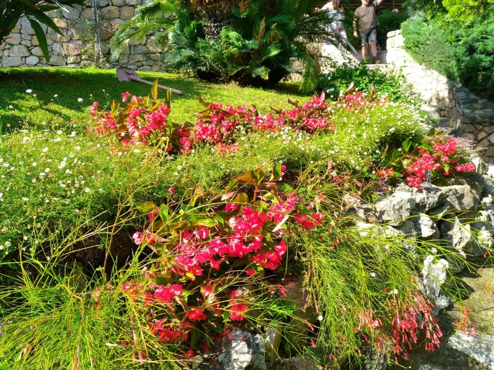 BCD Jardin, jardinier paysagiste à Antibes BCD Jardin, jardinier paysagiste à Antibes